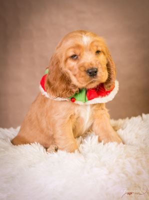 7 Kleine Engelchen :-)_78