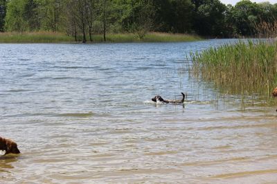 Das Große Ben Wellentreffen_17