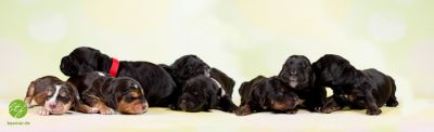 Unsere E-chen mit 1 Woche_1