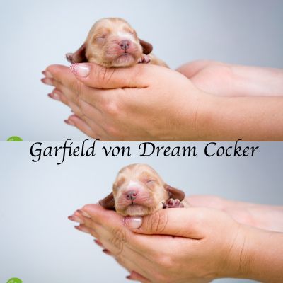 Unsere G-chen aus wiederhollungsverpaarung _8