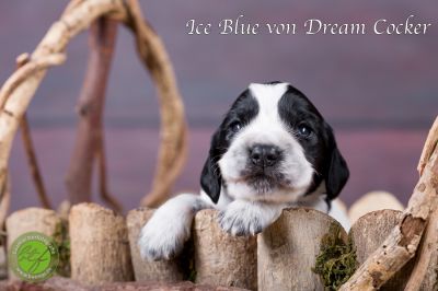 Unsere Ichen 1 tag alt _22