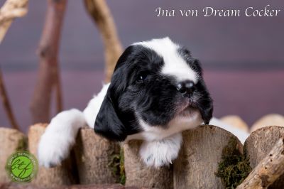 Unsere Ichen 1 tag alt _24