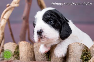 Unsere Ichen 1 tag alt _26