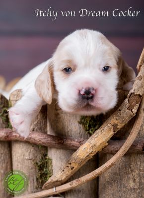 Unsere Ichen 1 tag alt _6