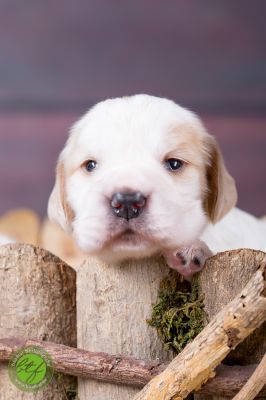 Unsere Ichen 1 tag alt _19