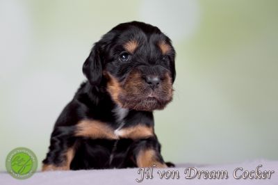 Unsere Babys mit 14 Tage 