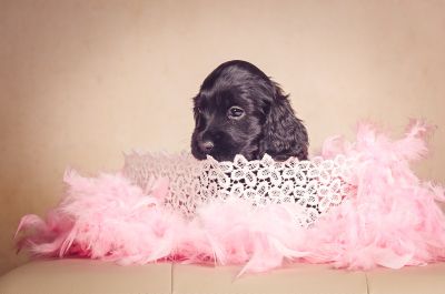 ein traum wird wahr.._27