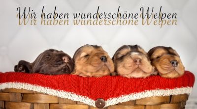 ein traum wird wahr.._1