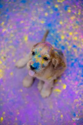 Es wird Bunt_3