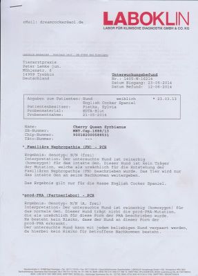 Cheery Queen Syrbianus Gesundheitsuntersuchung & Urkunden_4