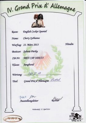 Cheery Queen Syrbianus Gesundheitsuntersuchung & Urkunden_5