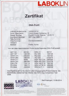 Cheery Queen Syrbianus Gesundheitsuntersuchung & Urkunden_6