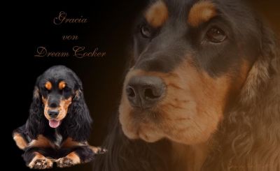 Gracia von Dream Cocker _10