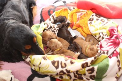 Unsere Model Babys :-*_2