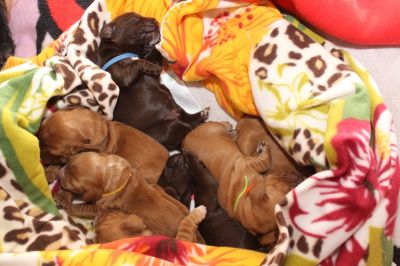 Unsere Model Babys :-*_3