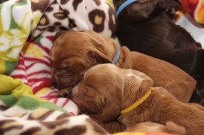 Unsere Model Babys :-*_5