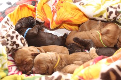 Unsere Model Babys :-*_6