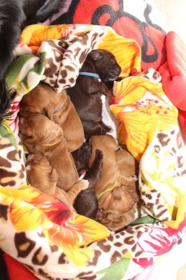 Unsere Model Babys :-*_9