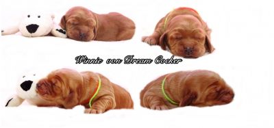 Unsere Model Babys :-*_14