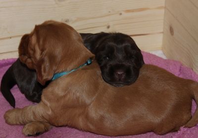 Wir sind 3 wochen alt _5
