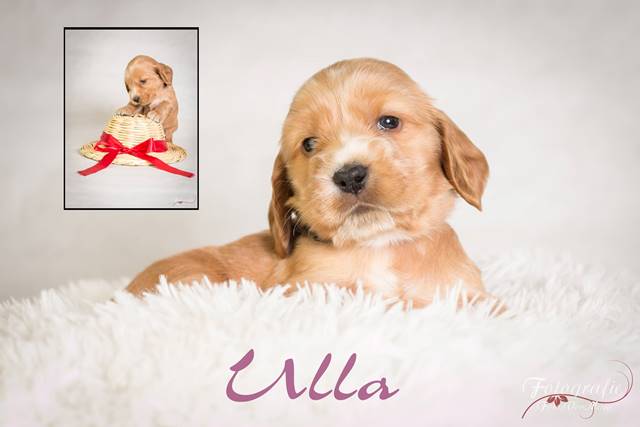 ulla