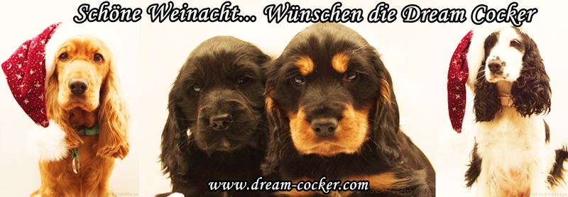 frohe weinach dream